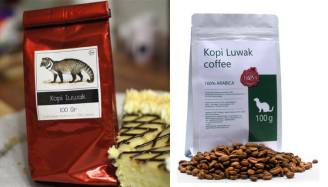 luwak.jpg