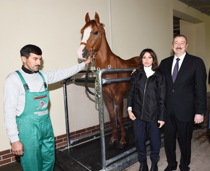 president-ledi- karabax loshadka.jpg