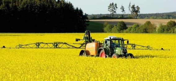 aqrarnoye aqentstvo.jpg