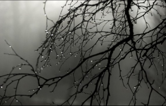 погода пасмурно.jpeg