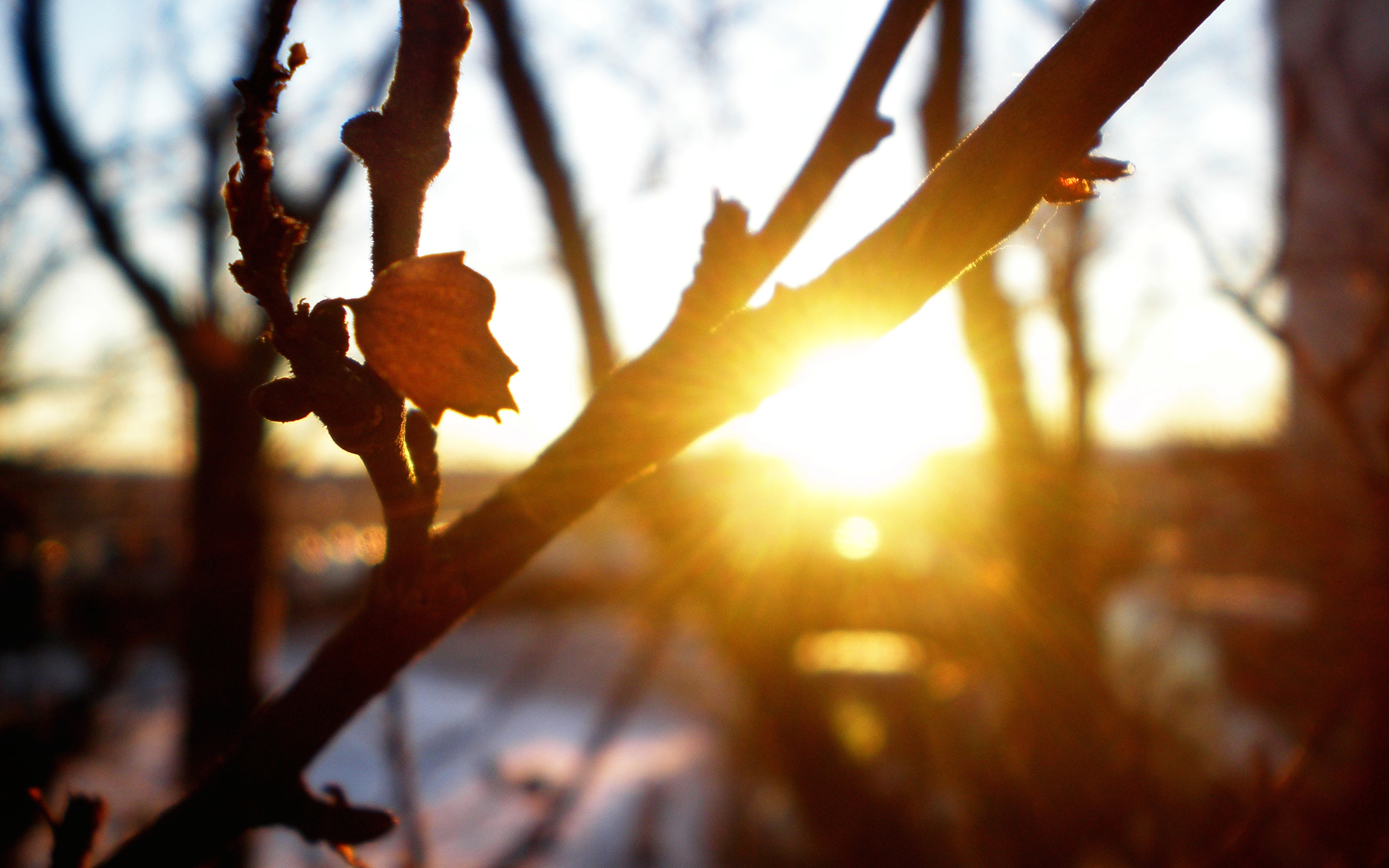 погода в марте.jpeg