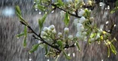 дождь - ветер-весна