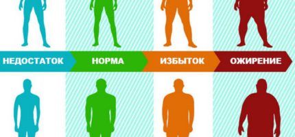 Калькулятор ИМТ онлайн