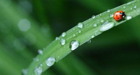 погода-гроза-дождь-солнце