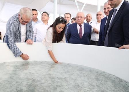 завод осетровых.jpg