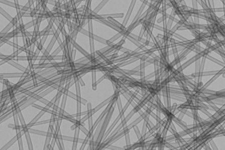 мех белого медведя.jpeg