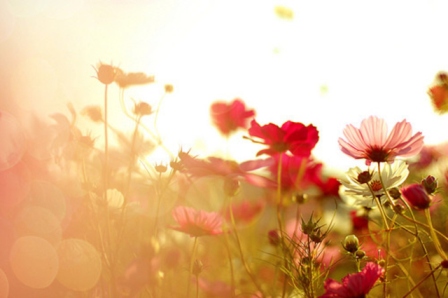 уф излучение