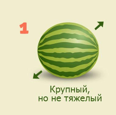 arbuz1.png