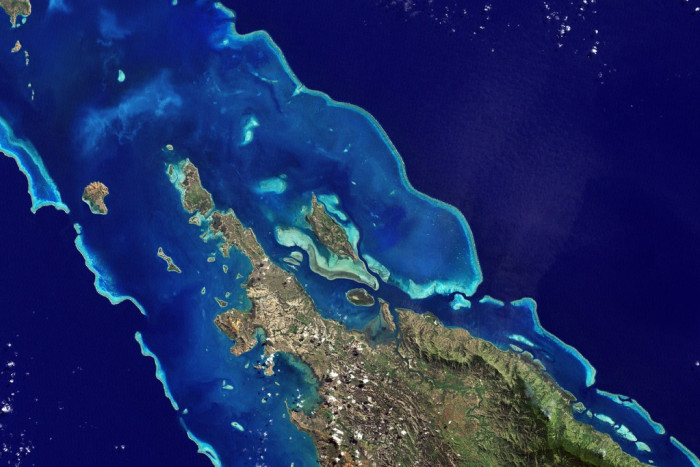 кораллы -коледония.jpg