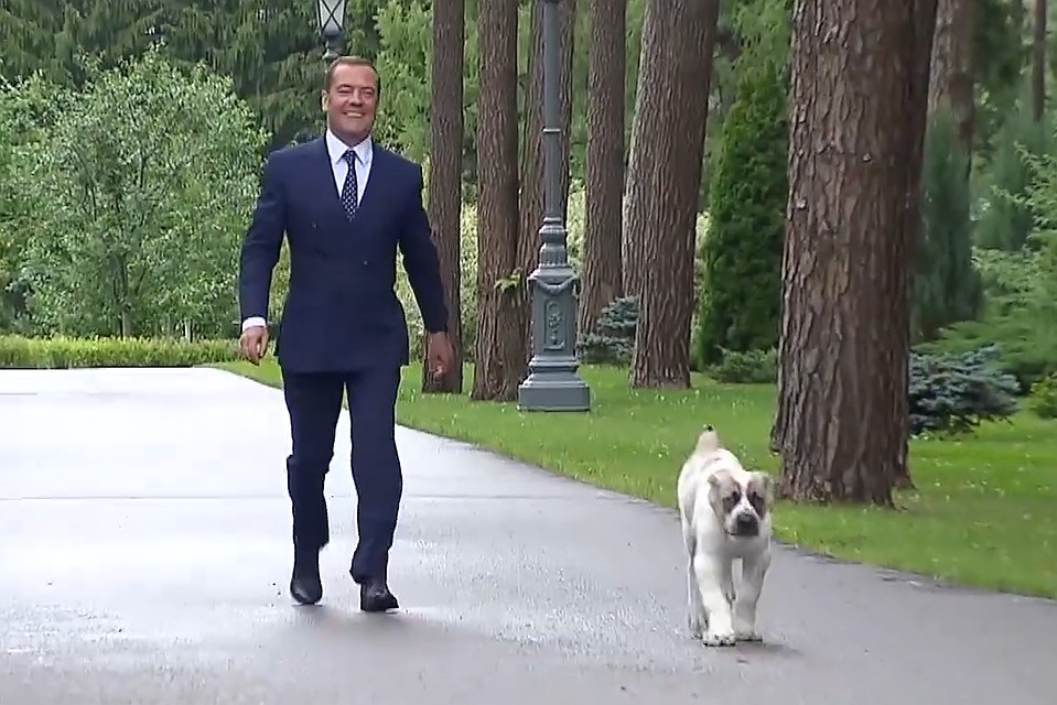 айк и медведев