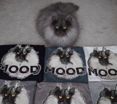 джуно майки.jpg