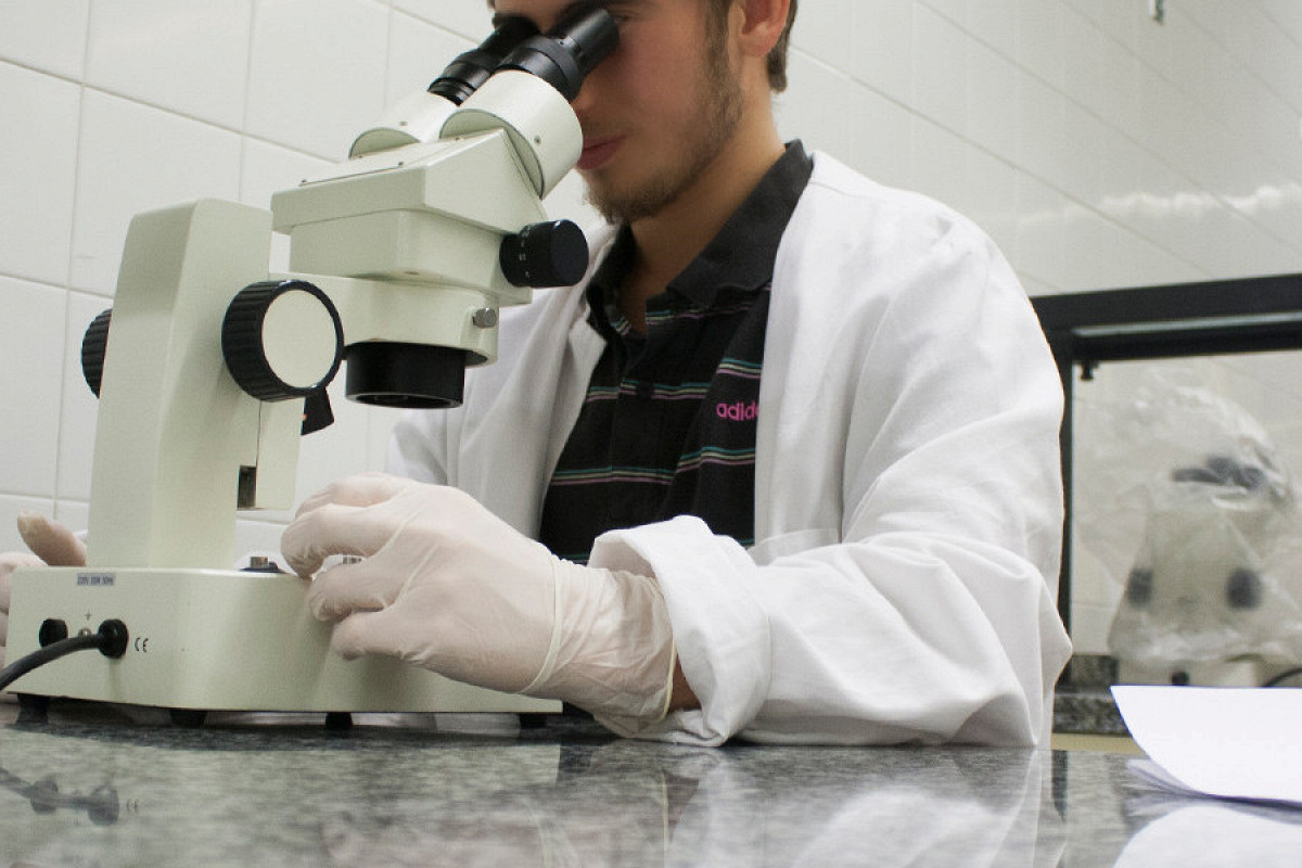 наночастицы