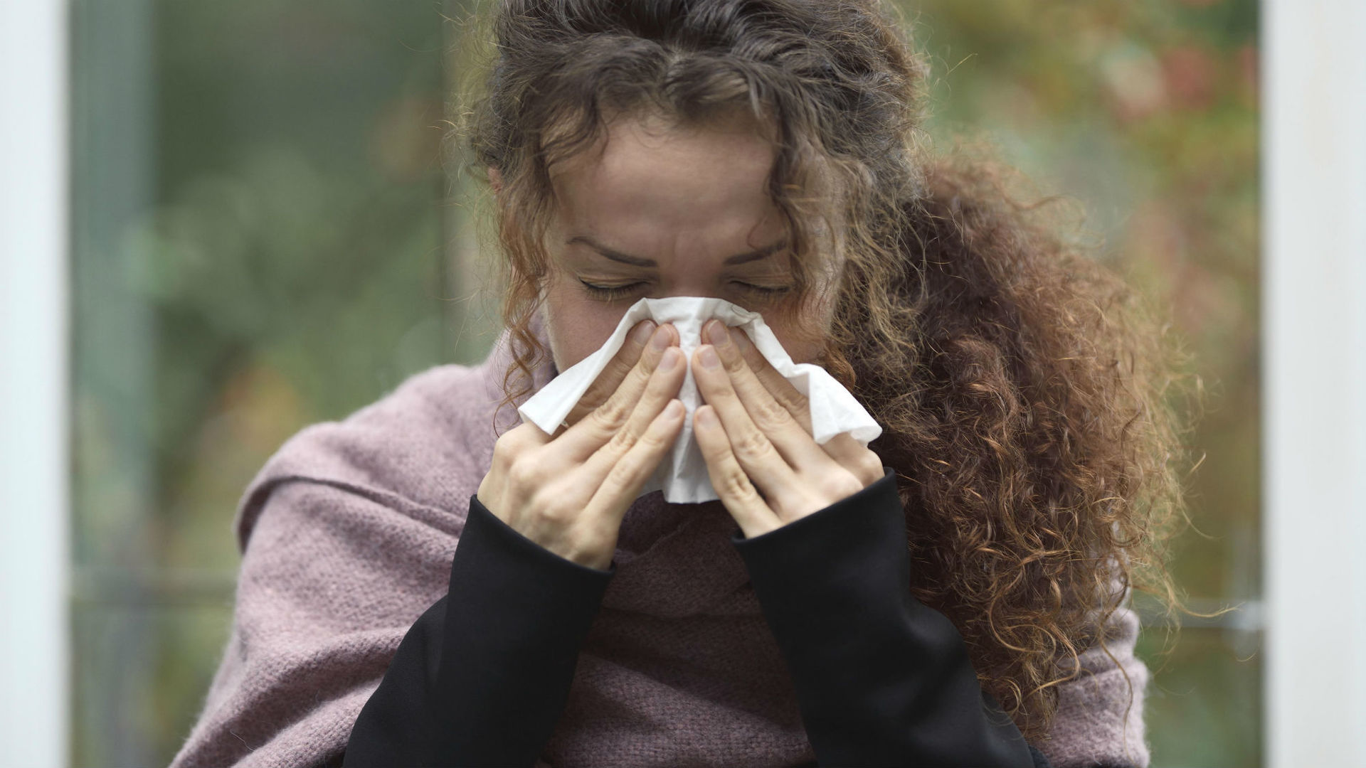 имунная система