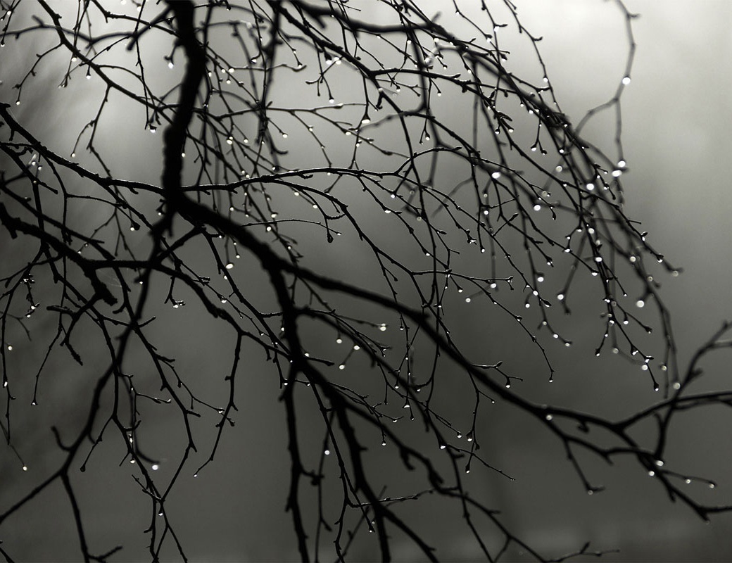 пасмурная погода