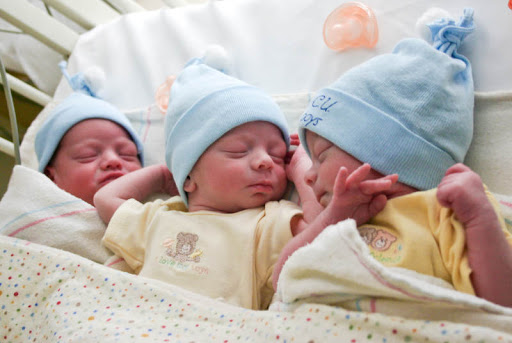 новорожденные