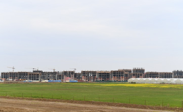 15877184312771843414