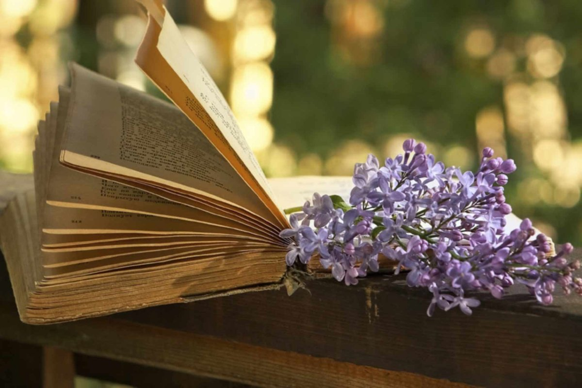 книги-чтение-весна